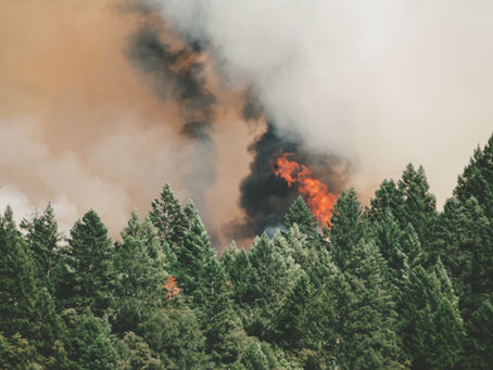 Estate Planning During Critical Times